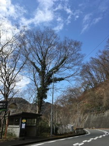 0C6E4F38-B603-4AC3-A81E-80B37C466976.jpeg