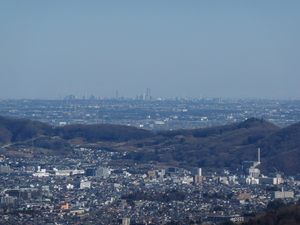266A7AEC-1AAC-43AE-BA9E-F42C3F1E6589.jpeg