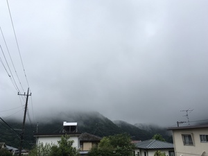 781921D9-9163-44C4-A891-F00FC3693C17.jpeg