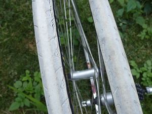 SCshot_5035.jpg