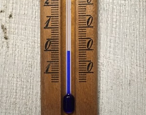 image.jpeg